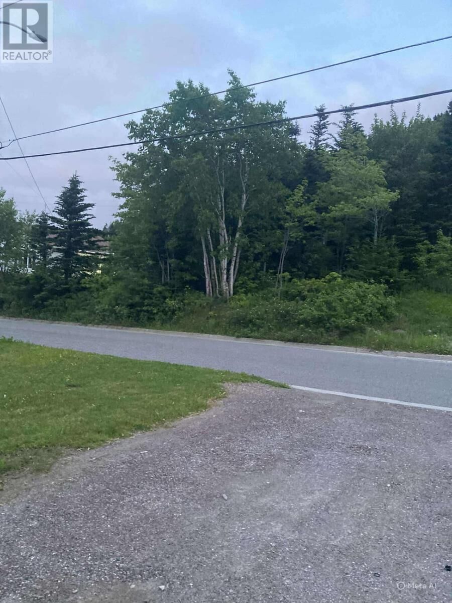 Property Photo:  119 Bayview Heights  NL A2H 5W7 