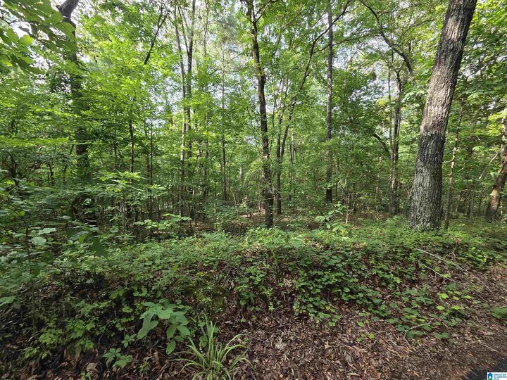 Property Photo: 45 Coosa View Lane 0 AL 35135