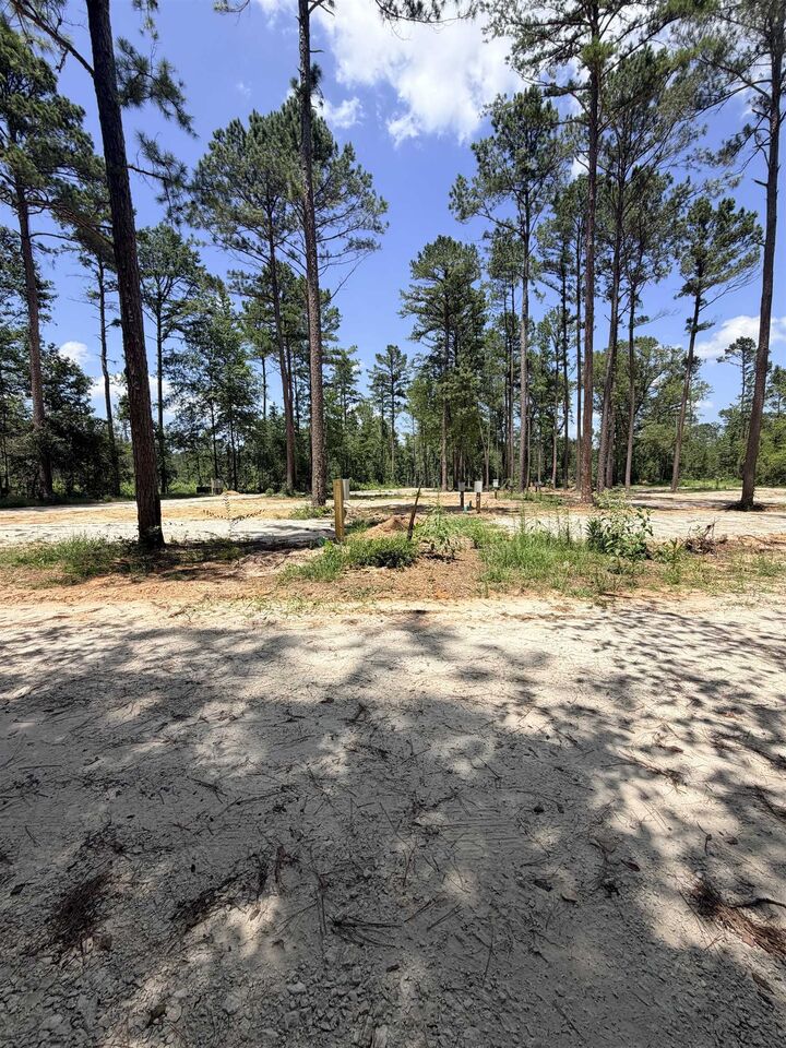 Property Photo: 5681 An County Road #153 TX 75801