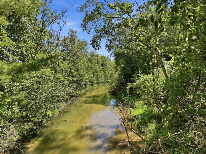 Property Photo:  601 N Lighthouse Drive  MI 49436 