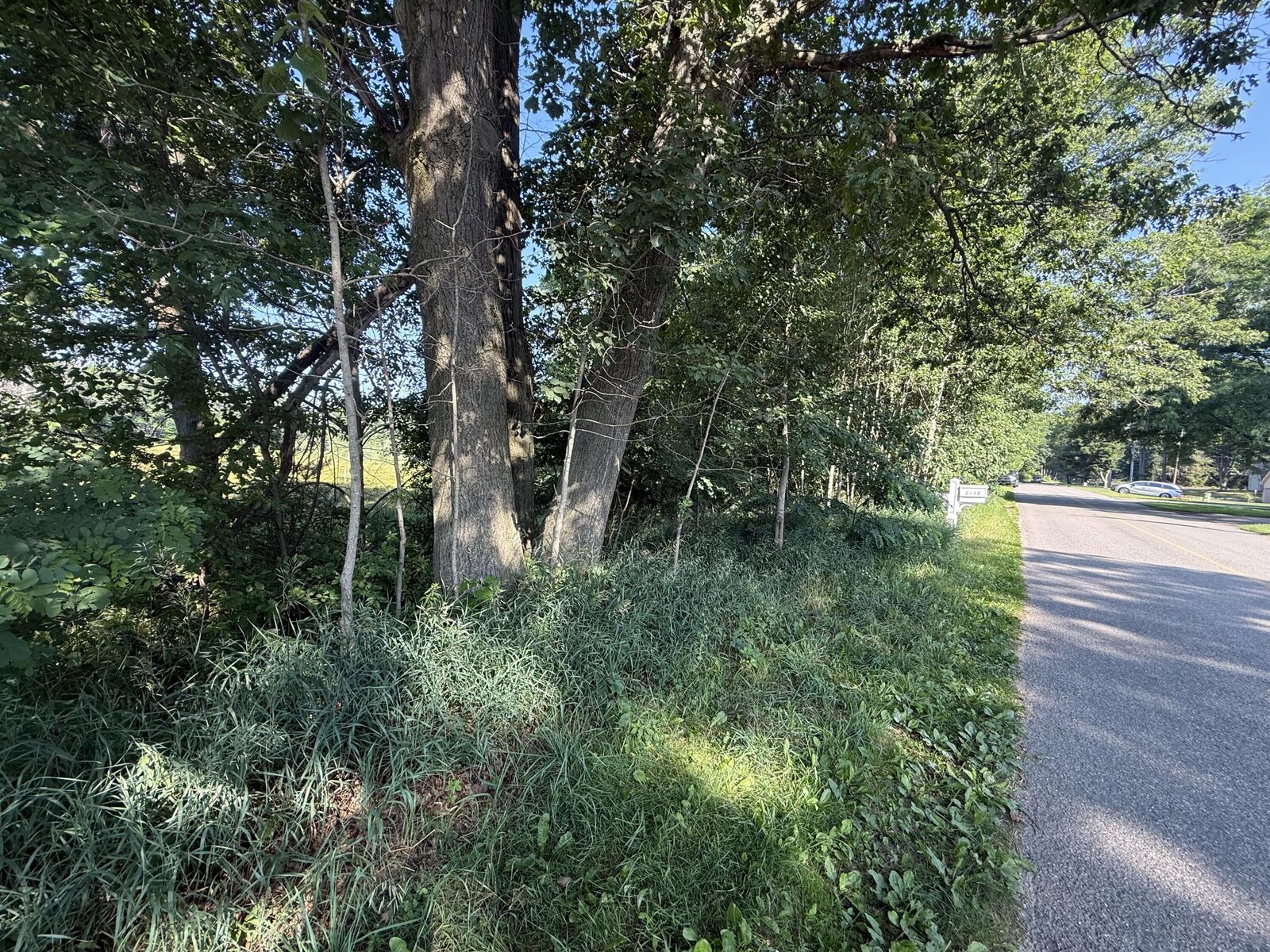 Property Photo:  W Royal Road  MI 49346 