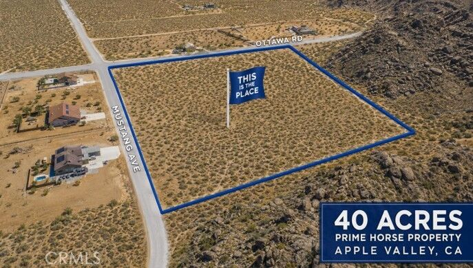 Property Photo: 0 Mustang CA 92307