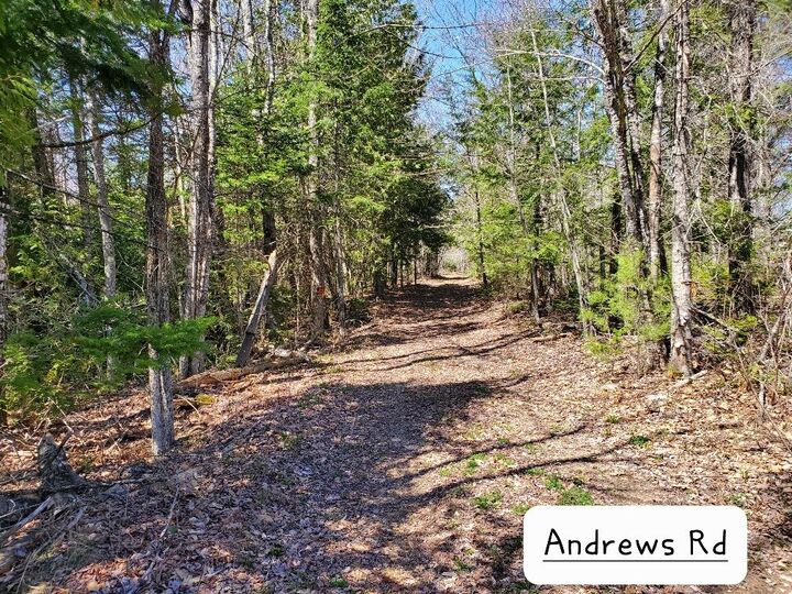 Property Photo: 135 Andrews Road ME 04427
