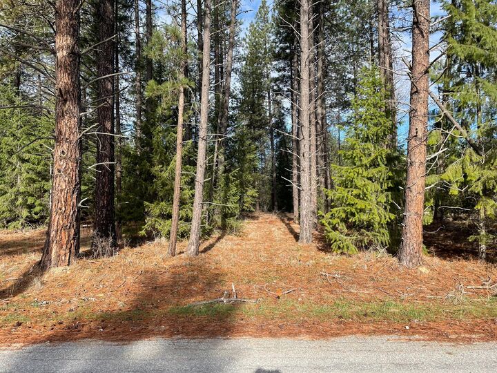 Property Photo: 268 Eagle Dr WA 99109