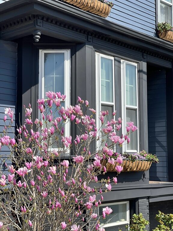 Property Photo: 198 Byron St MA 02128