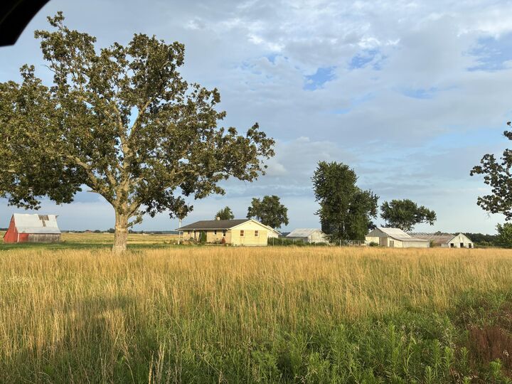 Property Photo: 24896 State Highway 38 MO 65706