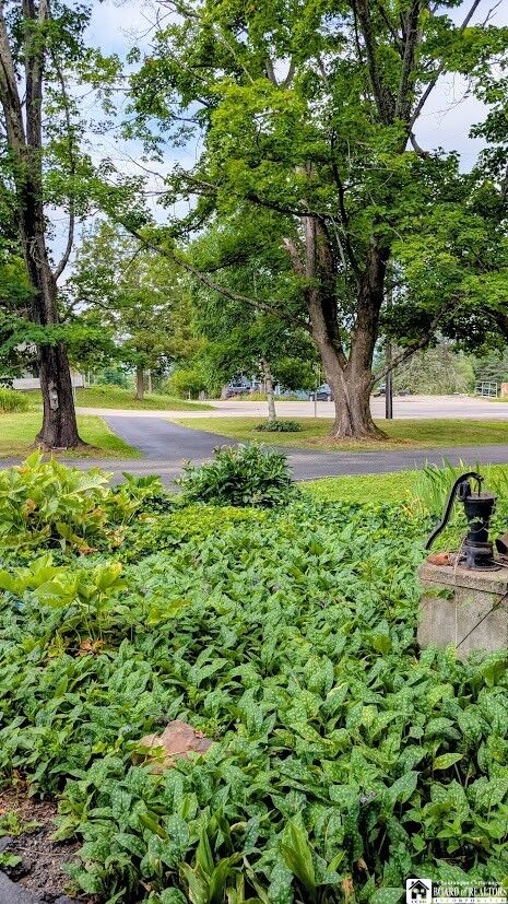 Property Photo:  10095 Route 242  NY 14755 