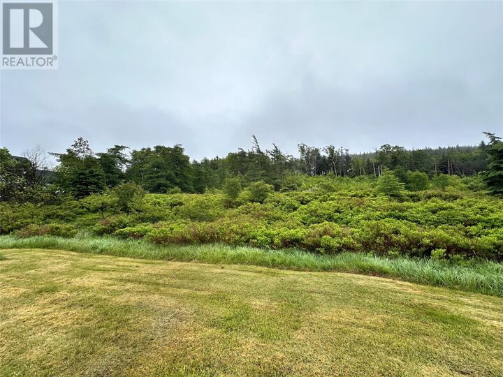Property Photo:  211A Shearstown Road  NL A0A 3V0 
