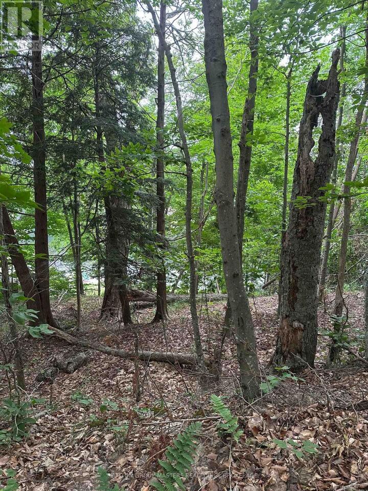 0 Silver Rock Lane — photo 1
