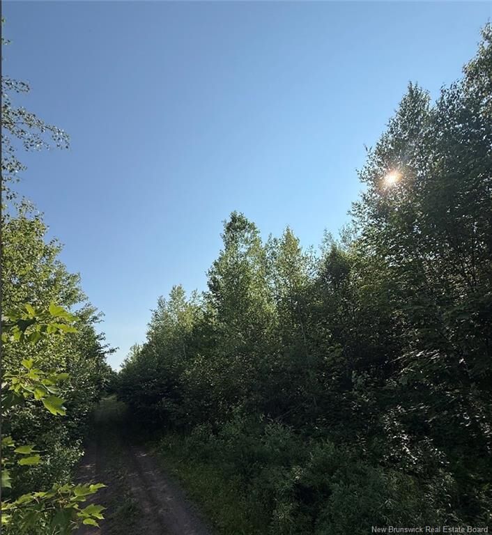 Property Photo:  - Upper Vail Road  NB E5M 1J1 