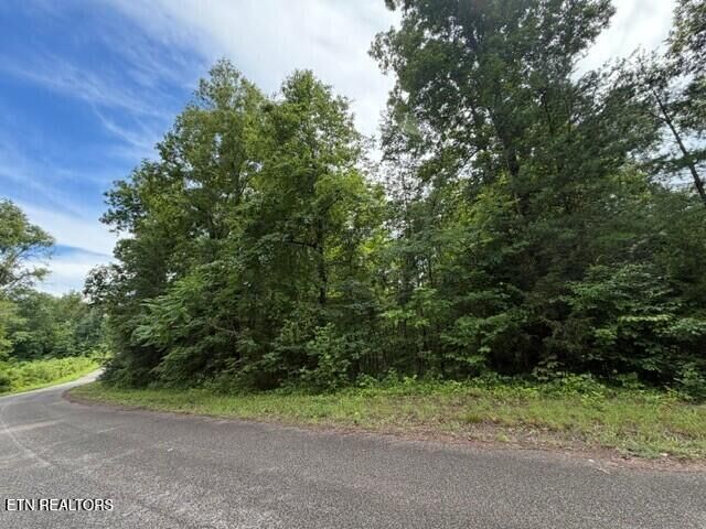 Property Photo:  Saddleridge Dr. Drive  TN 37870 