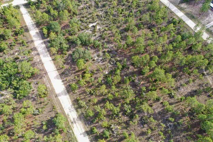 Property Photo: 0000 NE 132 Terrace Lot 4 Terrace FL 32696