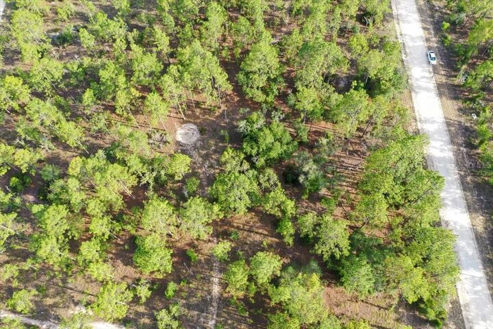 Property Photo: 0000 NE 131 Lot 9 Terrace FL 32696