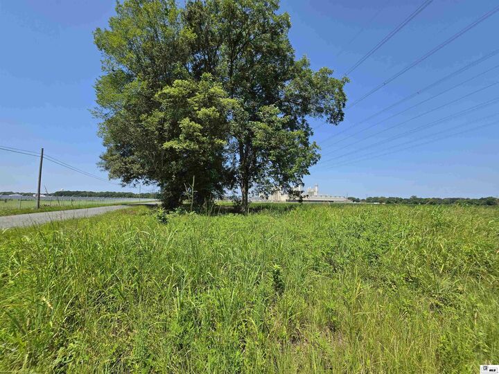 Property Photo: 260 Ouachita City Road LA 71280