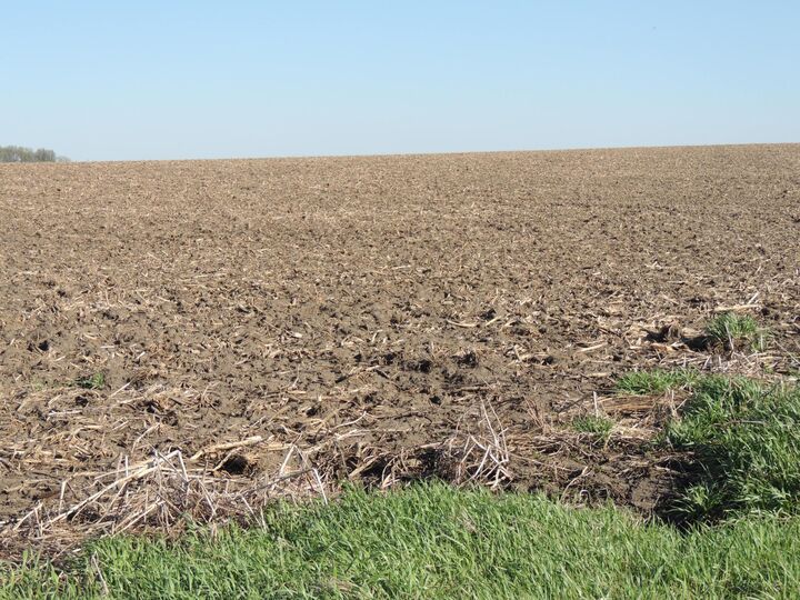 Property Photo: Tbd 740th Avenue MN 55936