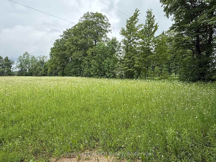 Property Photo:  Lot 2 Part Lot 17 Bells Lake Road  ON N0C 1H0 