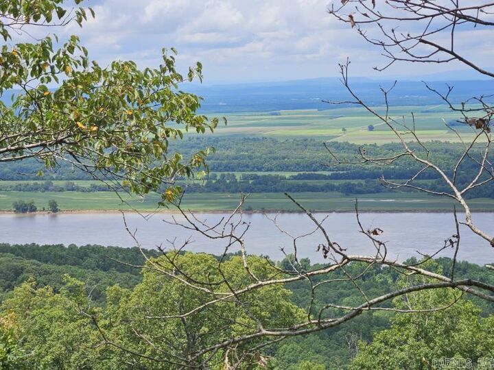 Property Photo: 160 Acres America Road AR 72110