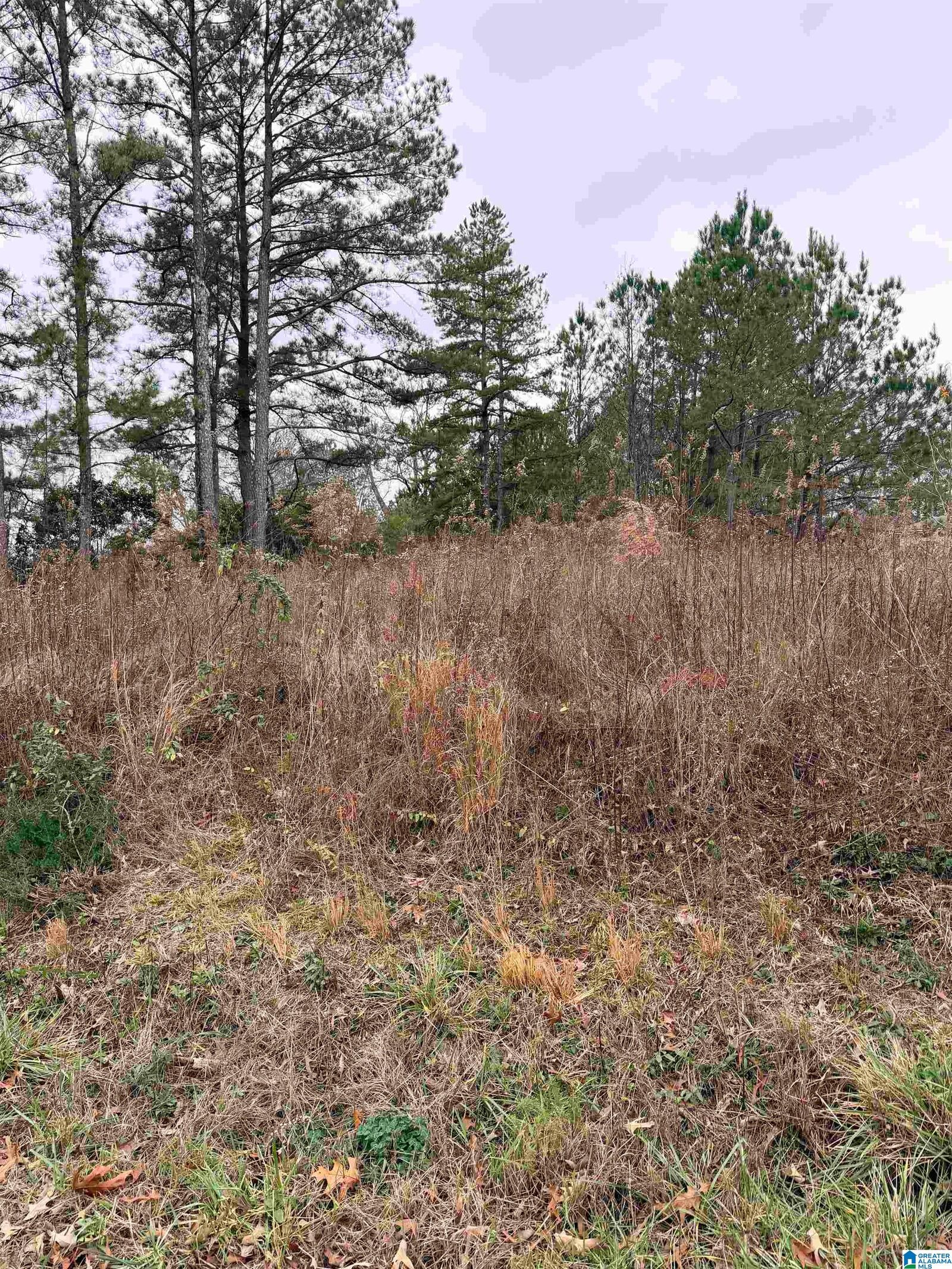 Property Photo: 0 Indian Hills Road 0 AL 35079