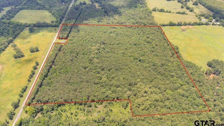 Property Photo: Tbd 50.795 Ac Fm 2496 TX 75681