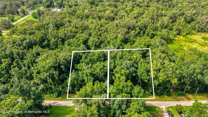 Property Photo: 0 Fitzhugh Avenue FL 34601