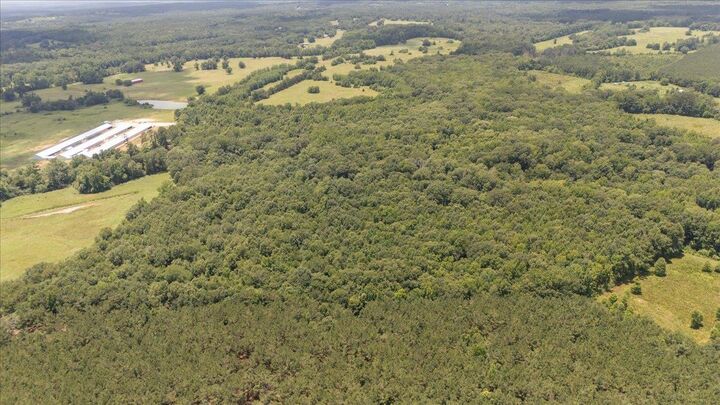 Property Photo: Tbd 38.110 Ac Cr 3206 TX 75681