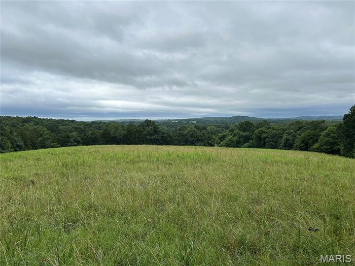 Property Photo: 0 Allen Road MO 63050
