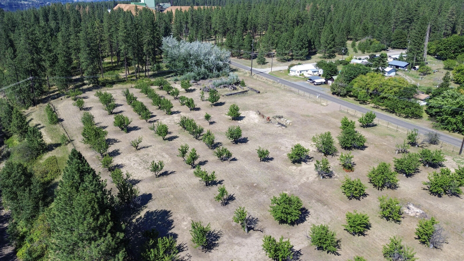 Property Photo: 1244 Peachcrest Rd WA 99141