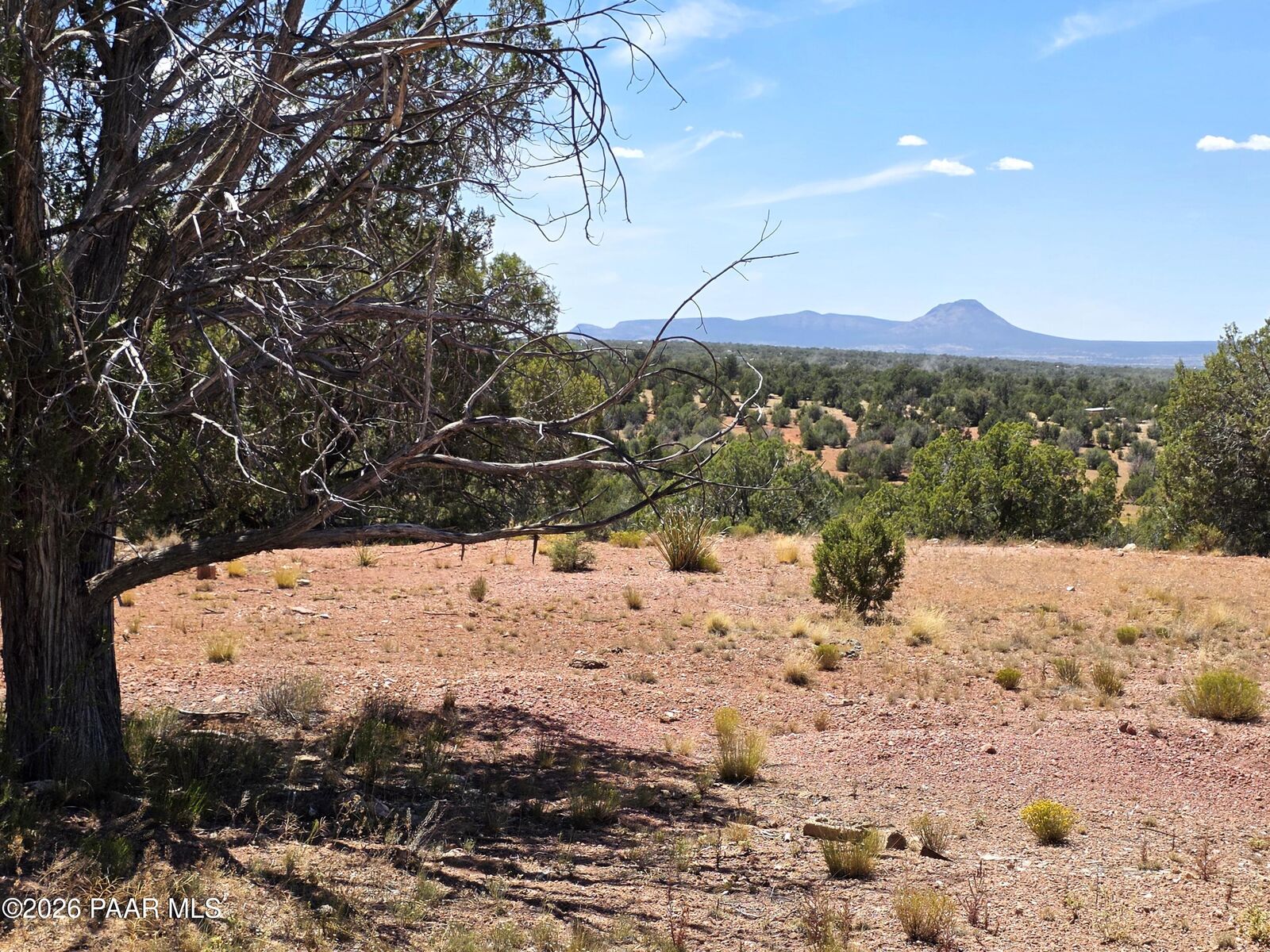 Property Photo:  3200 W Poppy Road  AZ 86320 