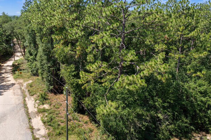 Property Photo: Parcel C Willow Lane FL 32539