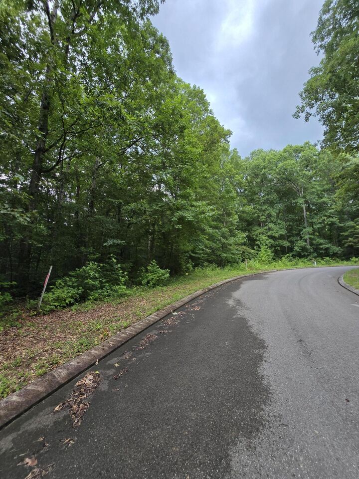 Property Photo: Lot 141 Lower Brow Road TN 37327