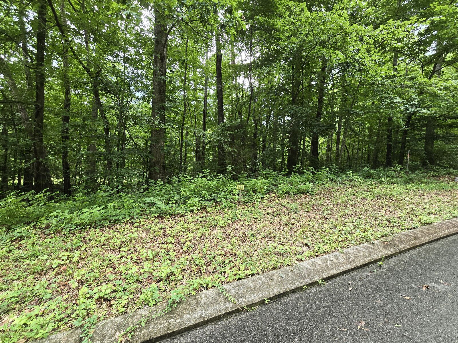 Property Photo:  Lot 134 Lower Brow Road  TN 37327 