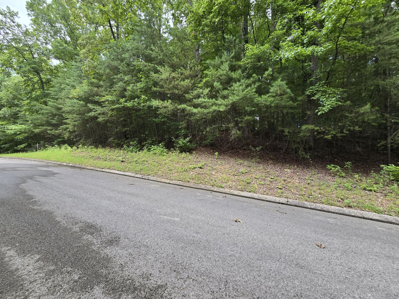 Property Photo:  Lot 134 Lower Brow Road  TN 37327 