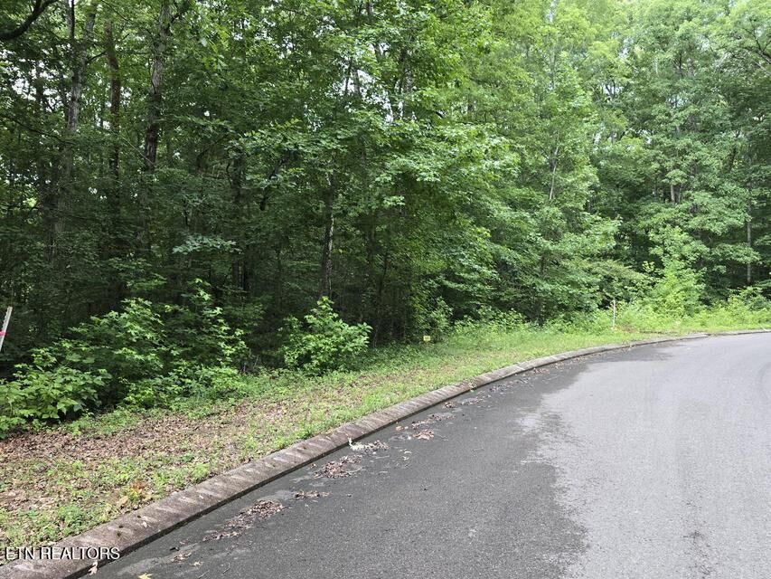 Property Photo:  Lot 141 Lower Brow Rd  TN 37327 
