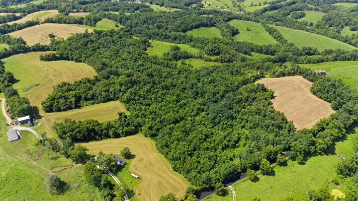 Property Photo:  223 Plum Lick Road  KY 40361 