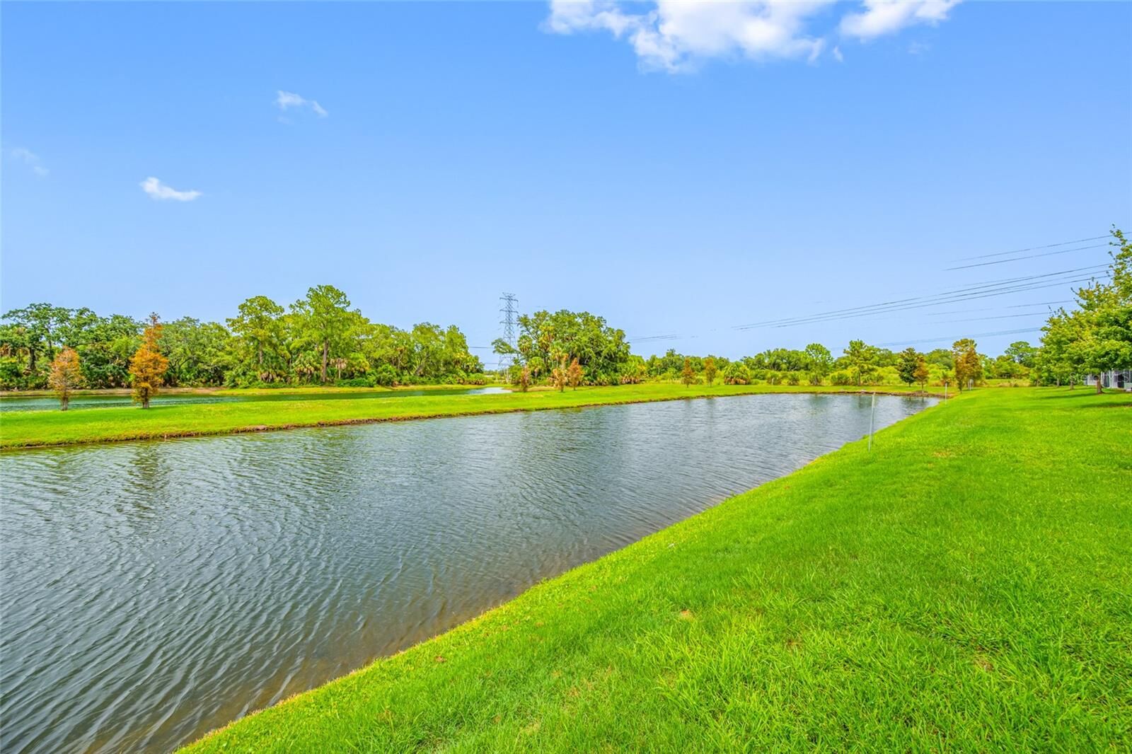 Property Photo:  7932 Evergreen Creek Court  FL 33578 