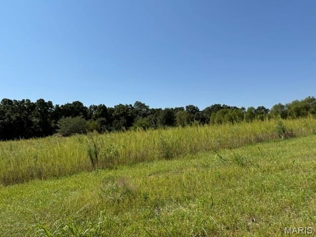 Property Photo:  0 Lot 2 Mikathric Estates  MO 63383 