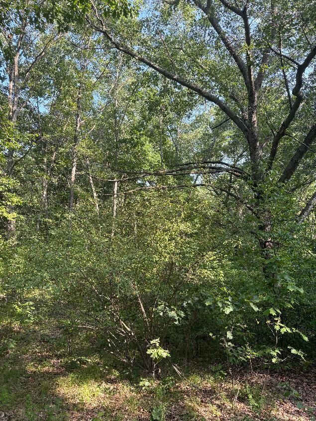 Property Photo: 8159 Roosevelt Road MI 49332