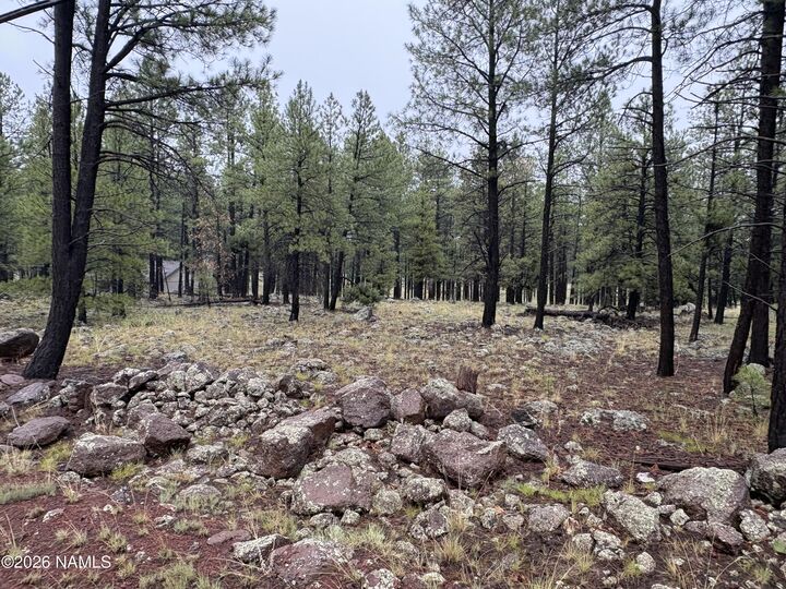 Property Photo:  787 S Friar Tuck Trail  AZ 86046 