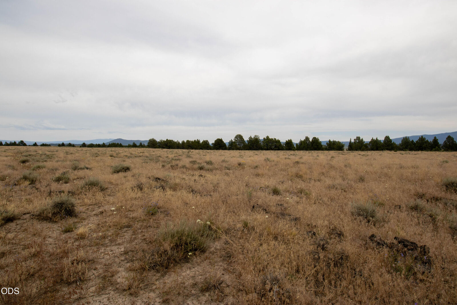 Property Photo:  Rim Drive 24  OR 97624 