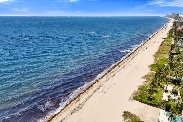Property Photo: 2409 N Ocean Boulevard 626 FL 33305