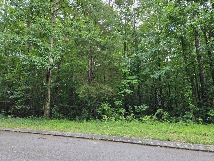 Property Photo:  Lot 144 Lower Brow Road  TN 37327 
