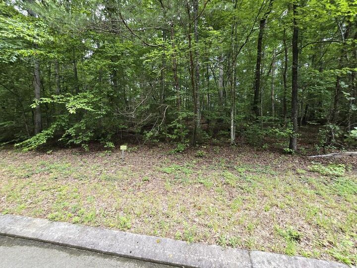 Property Photo: Lot 136 Lower Brow Road TN 37327