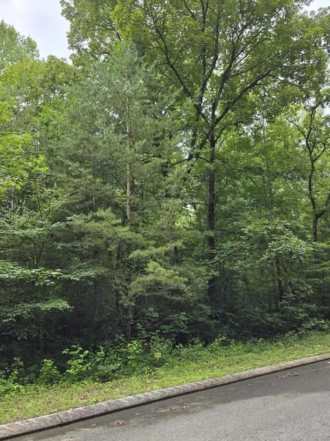 Property Photo:  Lot 135 Lower Brow Road  TN 37327 