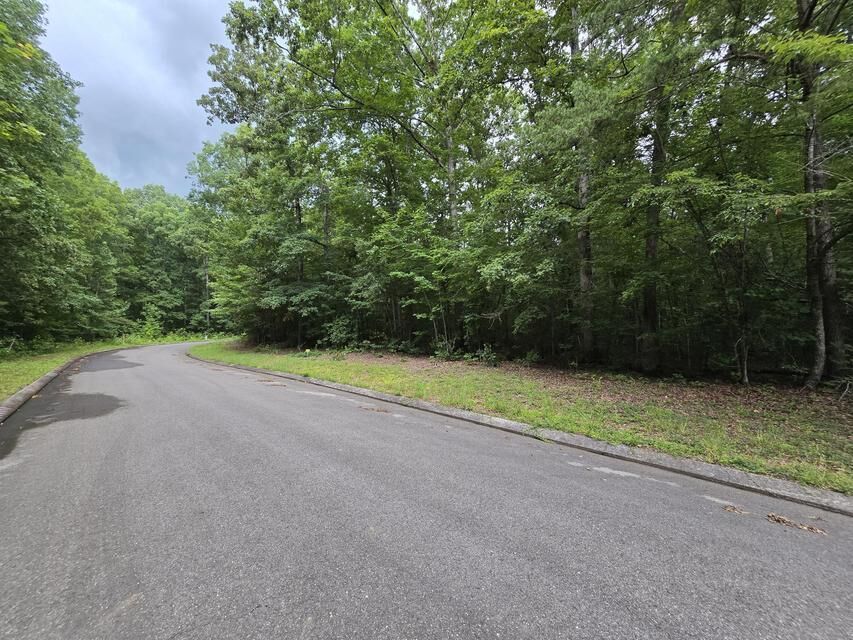 Property Photo:  Lot 140 Lower Brow Road  TN 37327 