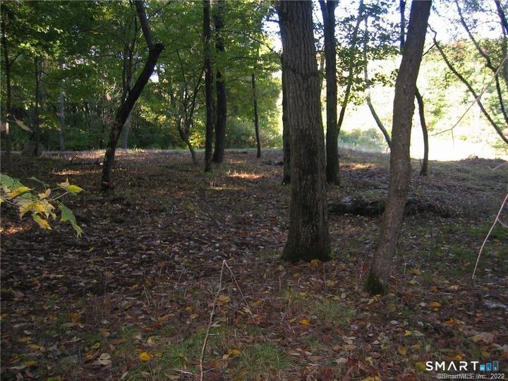 Property Photo: 67 Briarwood Lane CT 06904