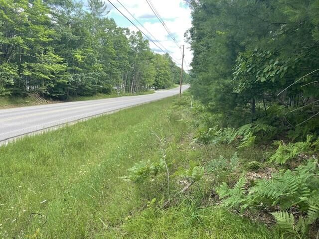 Property Photo:  2680 E Mullett Lake Road  MI 49749 
