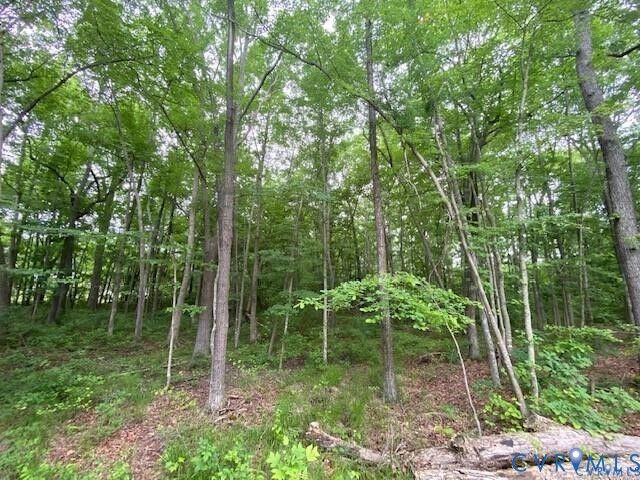 Property Photo: 000 Davis Hwy VA 23039