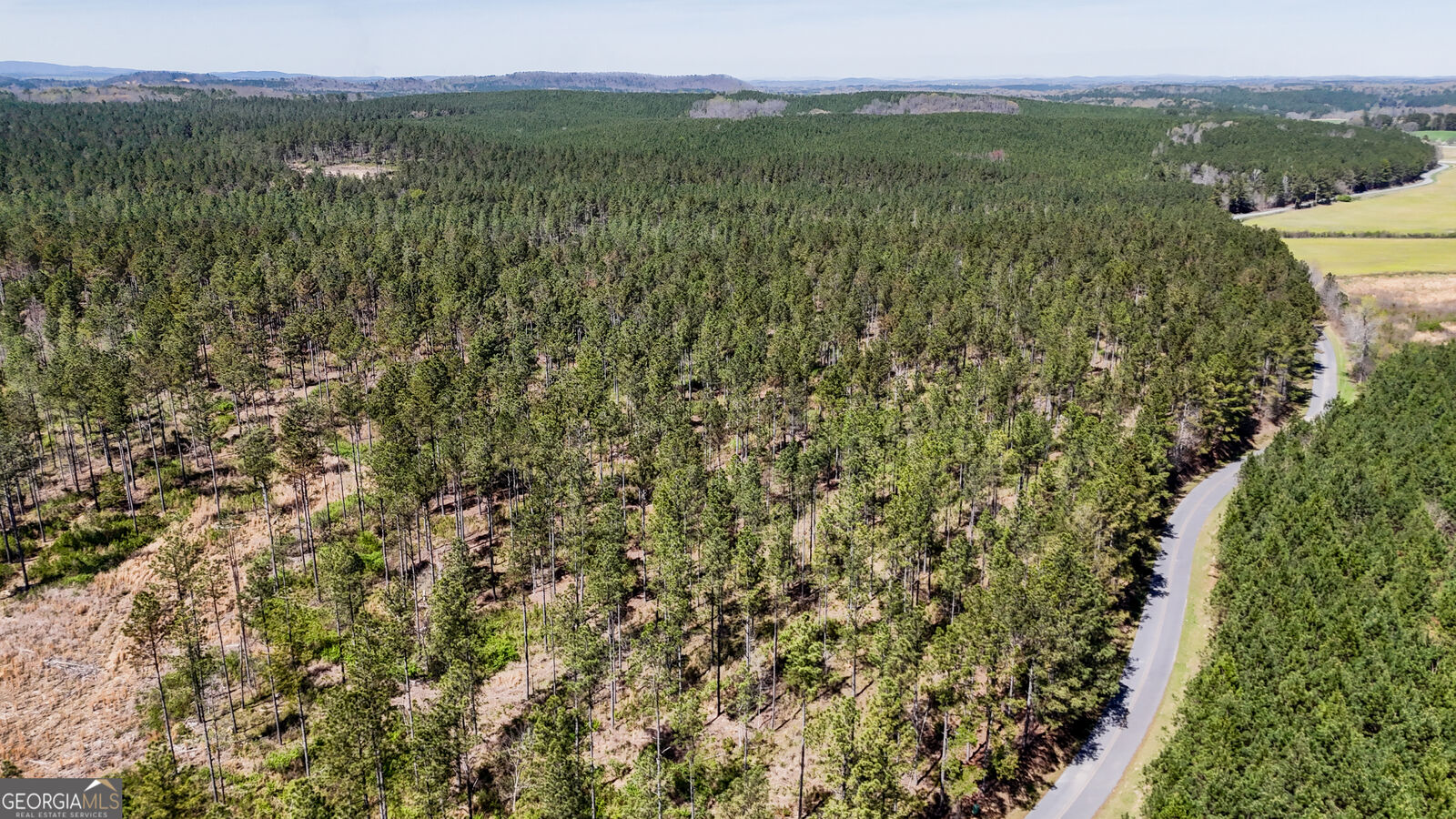 Property Photo:  20 Acres Youngs Farm Road  GA 30125 