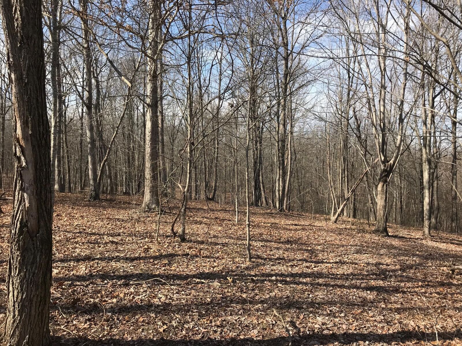 Property Photo:  504 Wilderness Way  TN 37327 