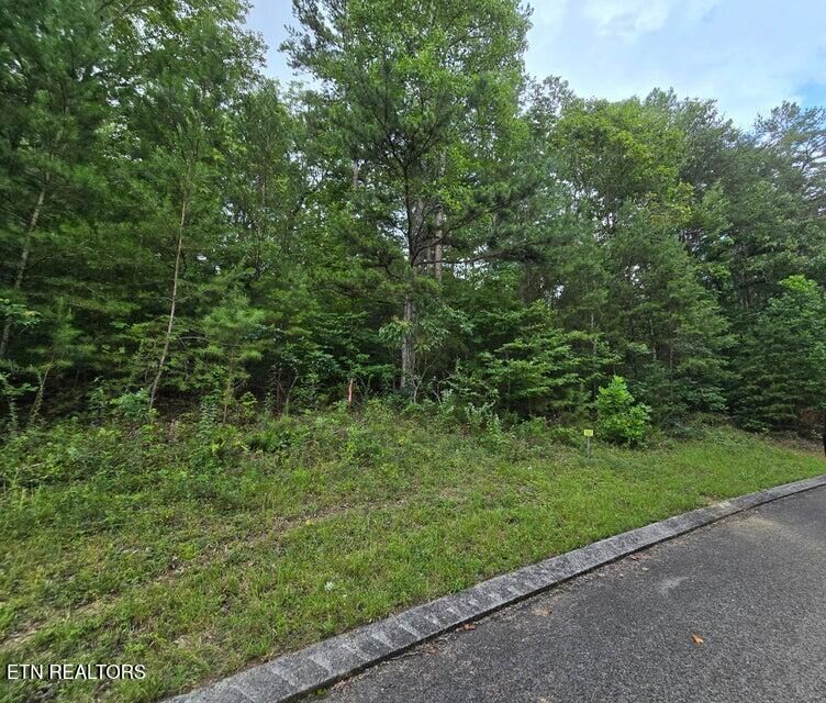 Property Photo:  Lot 157 Lower Brow Rd  TN 37327 